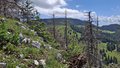 20260606_134944.jpg