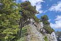 20260606_140609.jpg