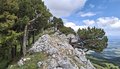 20260606_141307.jpg