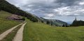 20260606_170146.jpg