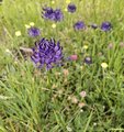 20260606_170603.jpg