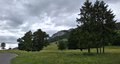 20260606_170704.jpg