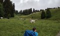 20260609_110010.jpg