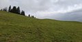 20260609_113519.jpg