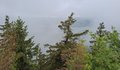 20260609_122330.jpg