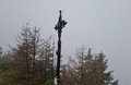 20260609_131216.jpg