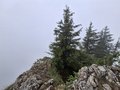 20260609_133812.jpg