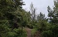 20260609_141912.jpg