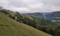 20260609_142155.jpg