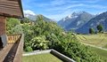 20260613_172846.jpg