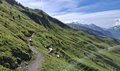 20260614_094438.jpg