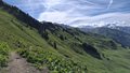 20260614_095826.jpg