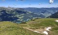 20260614_104611.jpg