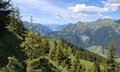 20260614_121240.jpg