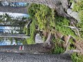20260614_125707.jpg