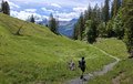 20260614_132635.jpg