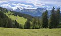 20260614_133400.jpg