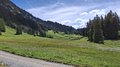 20260614_134202.jpg