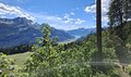 20260614_155144.jpg
