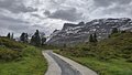 20260615_101731.jpg