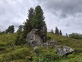 20260615_101911.jpg