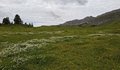 20260615_103157.jpg