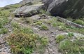 20260615_111618.jpg