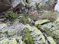 20260615_124118.jpg