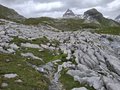 20260615_142454.jpg