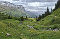 20260615_162533.jpg