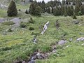 20260615_162643.jpg
