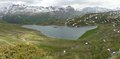 P1210655_-_P1210656.jpg
