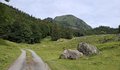 20260616_095916.jpg