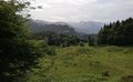 20260616_100728.jpg