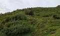 20260616_111233.jpg