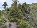 20260616_113236.jpg