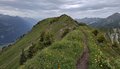 20260616_114702.jpg