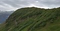 20260616_121602.jpg