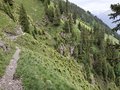20260616_125848.jpg