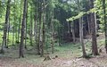 20260616_154654.jpg