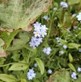 20260617_110220.jpg