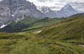 20260617_125631.jpg