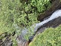 20260617_144634.jpg