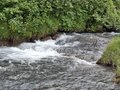 20260617_145909.jpg