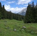 20260617_153233.jpg