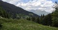 20260617_154850.jpg