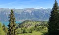 20260618_101402.jpg