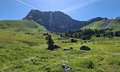 20260618_103218.jpg