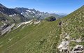 20260618_123332.jpg