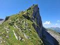 20260618_140806.jpg